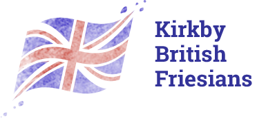 Kirkby British Friesians